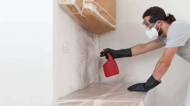 Professional Mold Removal technician working in Apex, NC