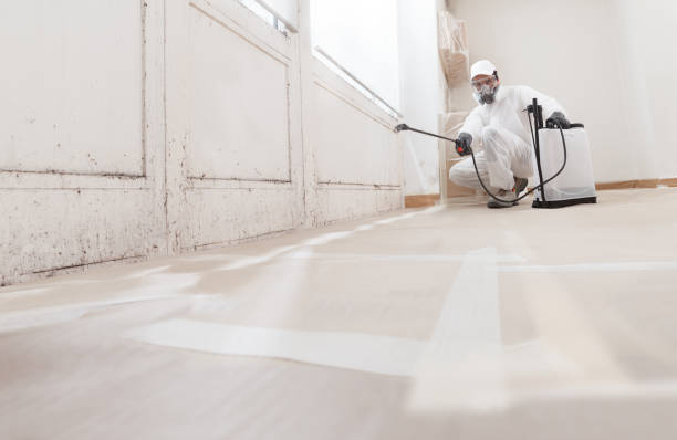 24/7 Emergency Mold Removal experts in Apex, NC