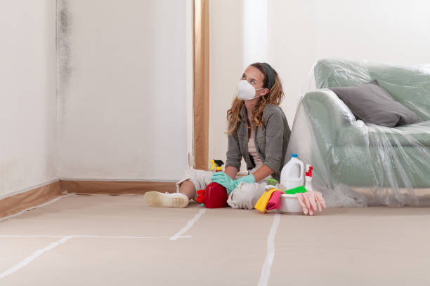 Reliable Mold Removal contractor in Apex, NC by Mold Remediation HQ