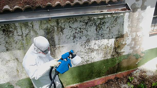 Top rated local Mold Removal specialists in Apex, NC